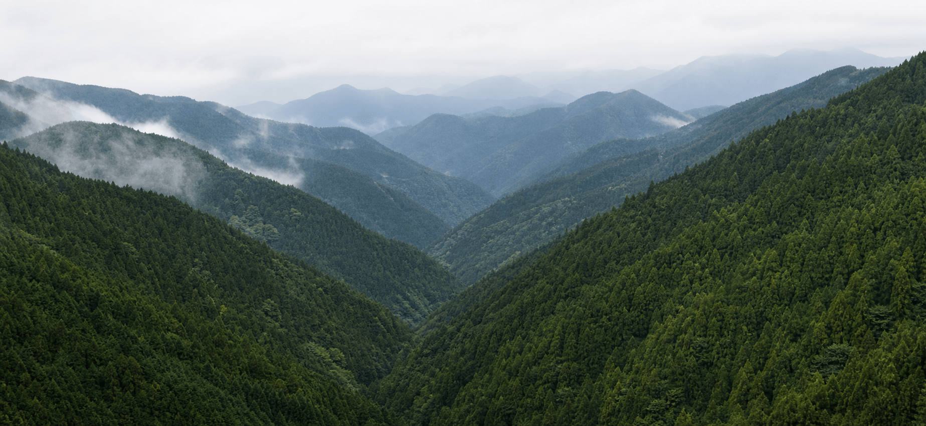 幾重にも連なる山々の森林