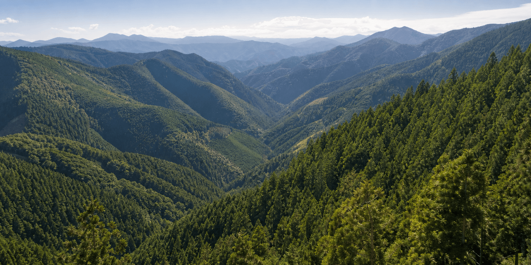 広がる山並みと森林